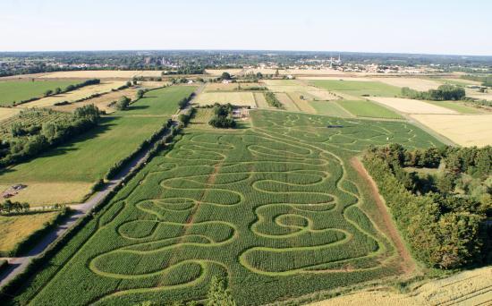 Labyrinthe en Délire