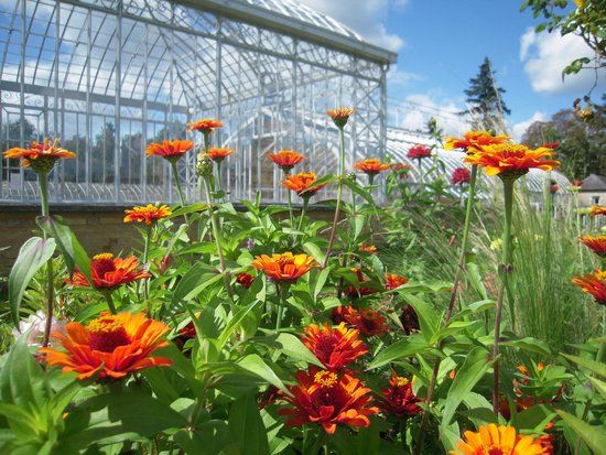 Le Jardin Potager de Bonnetable