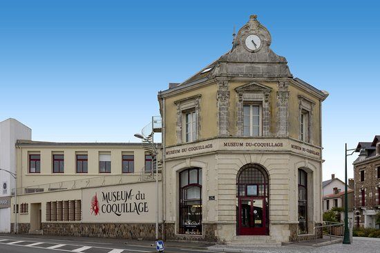 Museum du Coquillage