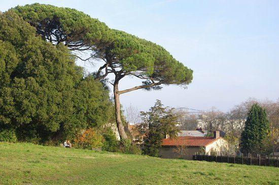 Parc des Oblates