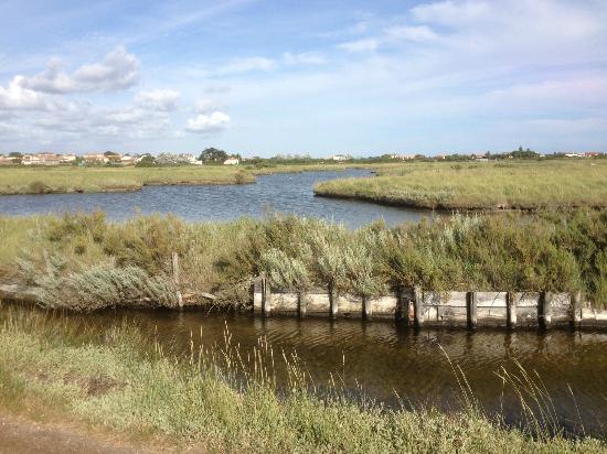 Marais Salants