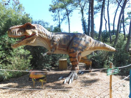 parc Dino's Park