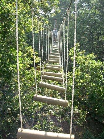 Parc Anjou Aventure