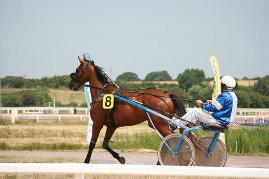 Courses Hippiques