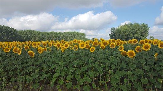 Loire Life Cycling Holidays