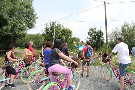 Original Velo Tour