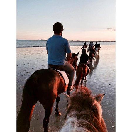 Manege des Platanes