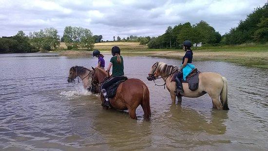 Ferme des Longs Crins
