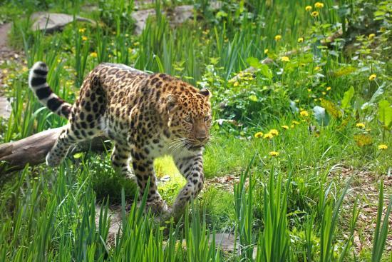 Zoo des Sables d'Olonne