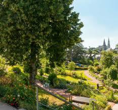 Jardin Camifolia