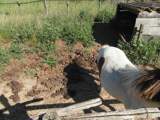 Ferme des Pommettes