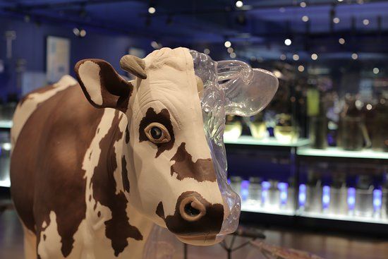 La Cité du Lait Lactopôle Laval